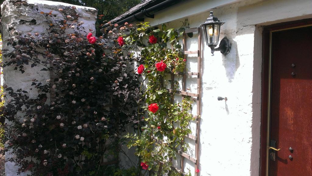 Whitestone Cottage Turnberry Rum bild